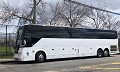 San Jose Charter Bus & Minibus Rental Services